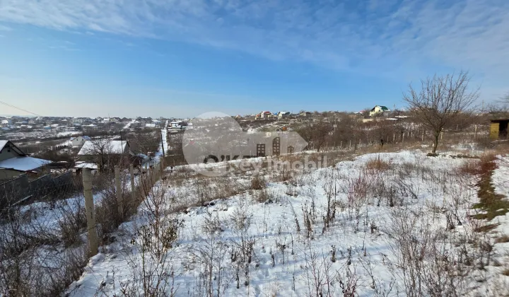 Земельный участок, ЧЕКАНЫ