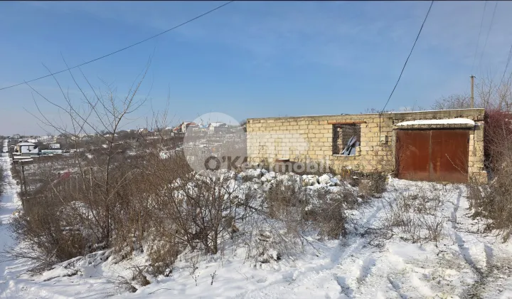 Земельный участок, ЧЕКАНЫ