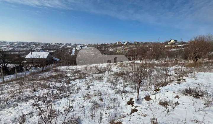 Земельный участок, ЧЕКАНЫ