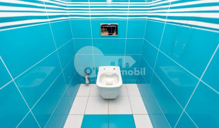 Офис, Центр, МИХАЙ ВИТЯЗУЛ