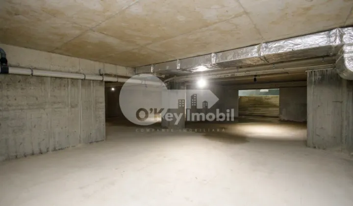 Комм. помещение, Рышкановка, АЛЕКУ РУССО