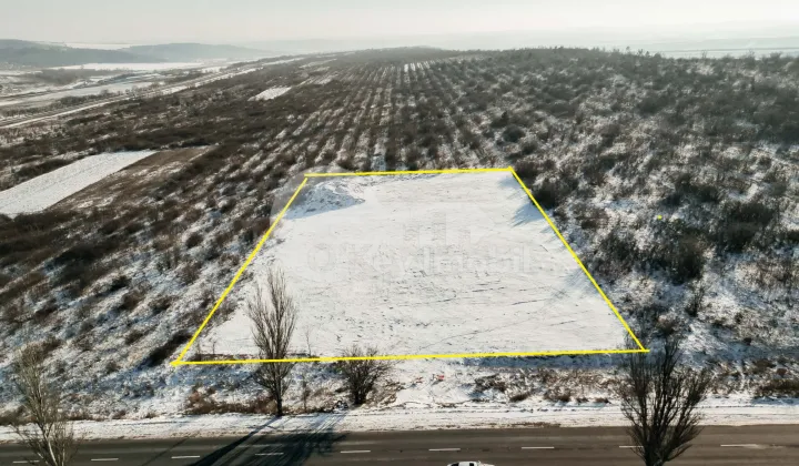 Земельный участок, ПЕРЕСЕЧИНО