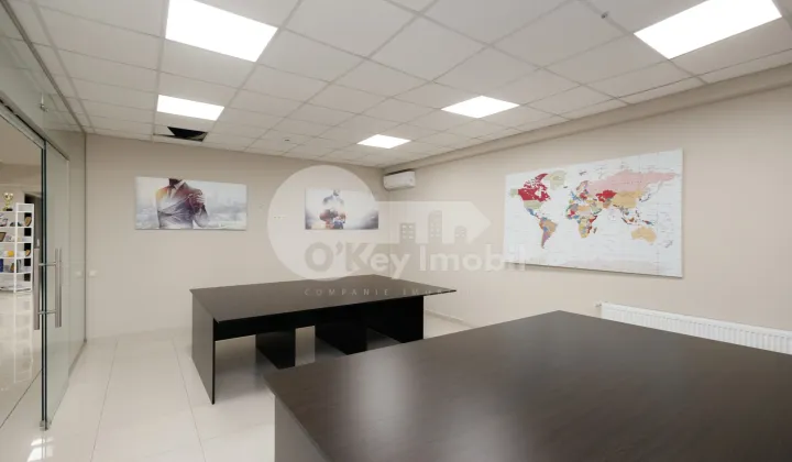 Офис, Ботаника, ДЕЧЕБАЛ