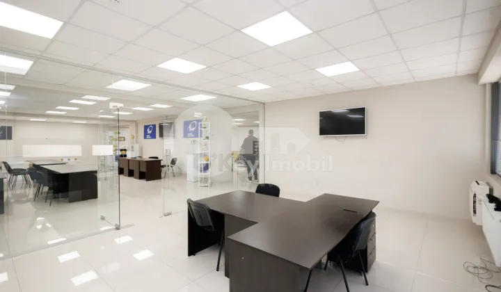 Офис, Ботаника, ДЕЧЕБАЛ