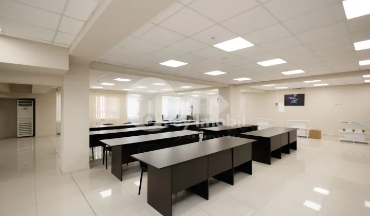 Офис, Ботаника, ДЕЧЕБАЛ