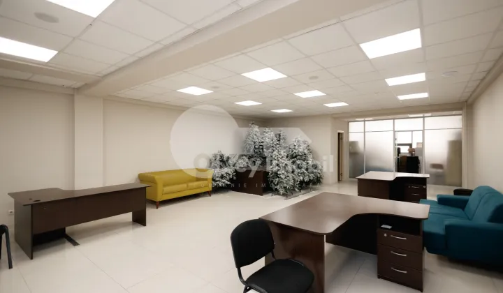 Офис, Ботаника, ДЕЧЕБАЛ