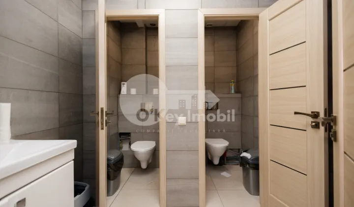 Офис, Ботаника, ДЕЧЕБАЛ