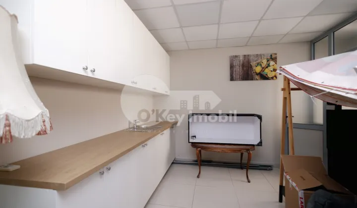 Офис, Ботаника, ДЕЧЕБАЛ