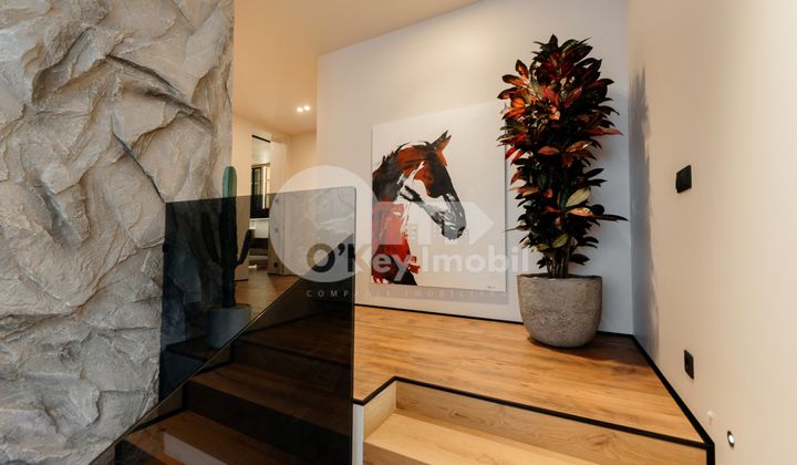 Casă, POIANA DOMNEASCĂ