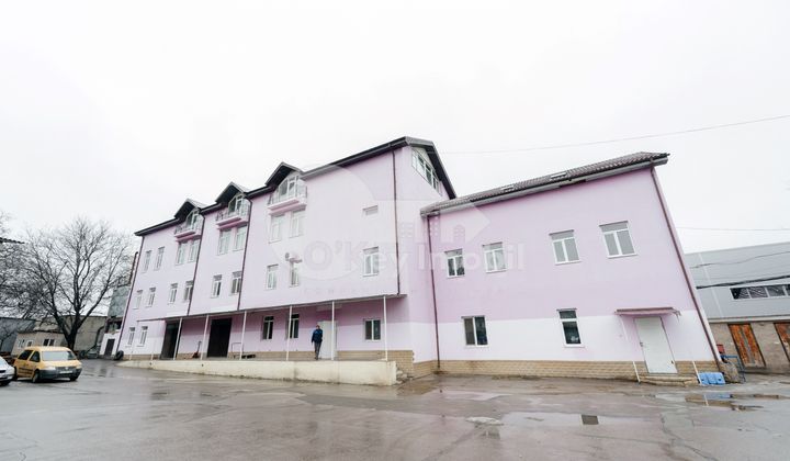 Depozit, Botanica, BUREBISTA