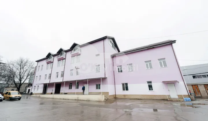 Склад, Ботаника, БУРЕБИСТА