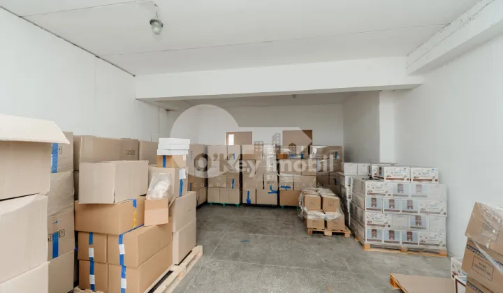 Склад, Ботаника, БУРЕБИСТА