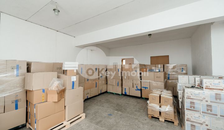 Depozit, Botanica, BUREBISTA