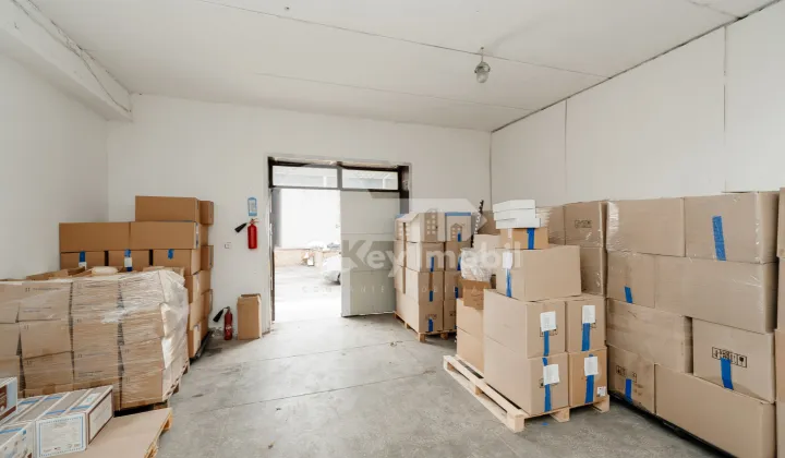 Склад, Ботаника, БУРЕБИСТА