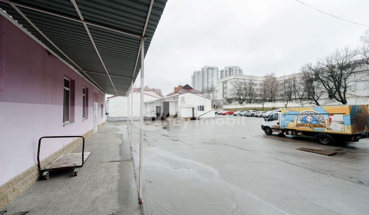 Depozit, Botanica, BUREBISTA