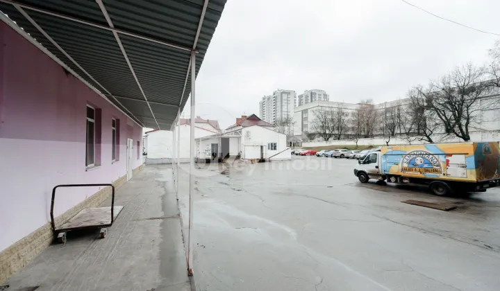 Склад, Ботаника, БУРЕБИСТА