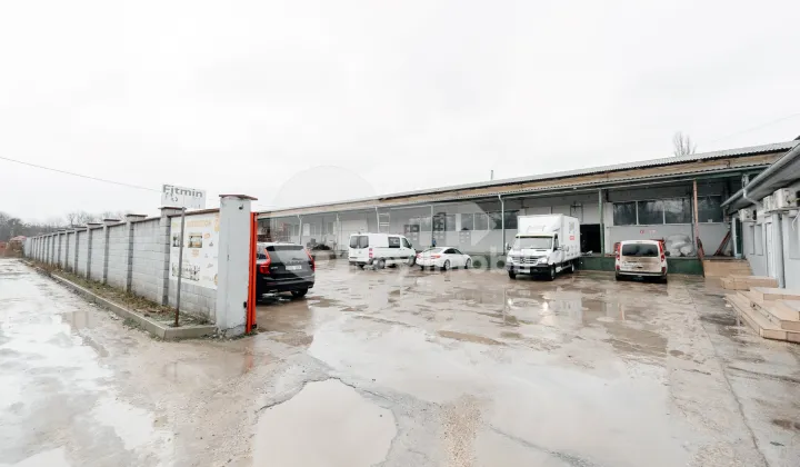 Склад, Ботаника, МУНЧЕШТЬ