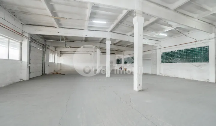 Склад, Ботаника, МУНЧЕШТЬ