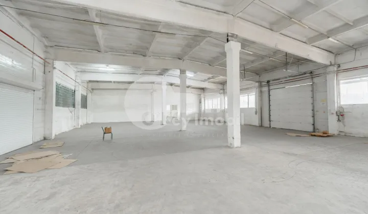 Склад, Ботаника, МУНЧЕШТЬ