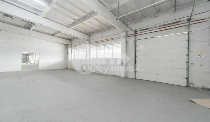 Склад, Ботаника, МУНЧЕШТЬ