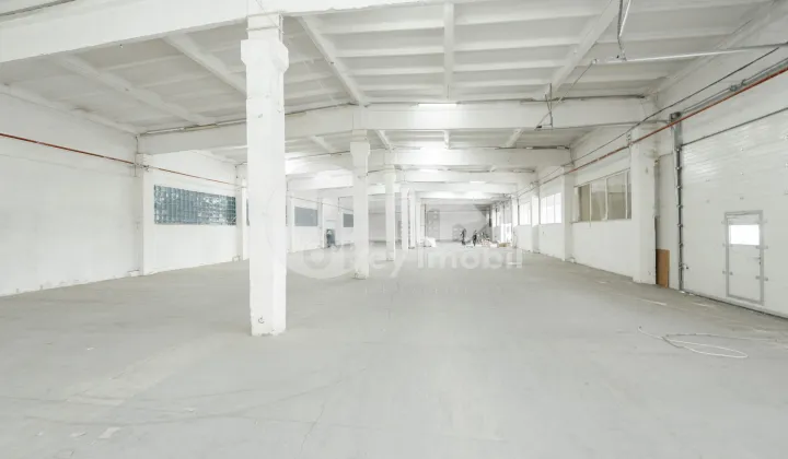 Склад, Ботаника, МУНЧЕШТЬ