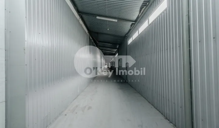 Склад, Ботаника, МУНЧЕШТЬ