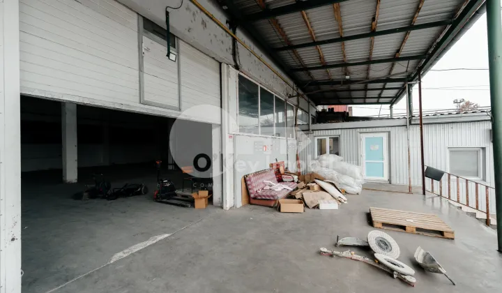 Склад, Ботаника, МУНЧЕШТЬ