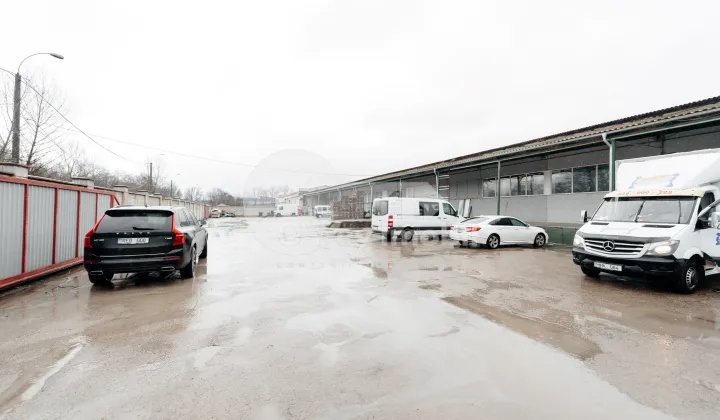 Склад, Ботаника, МУНЧЕШТЬ