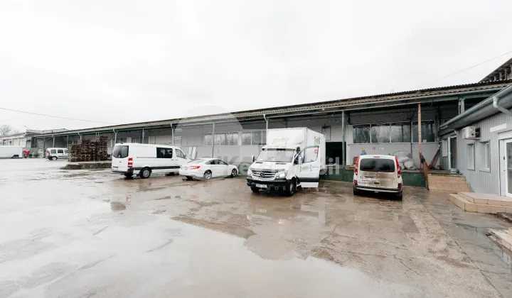 Склад, Ботаника, МУНЧЕШТЬ