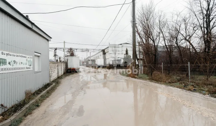 Склад, Ботаника, МУНЧЕШТЬ