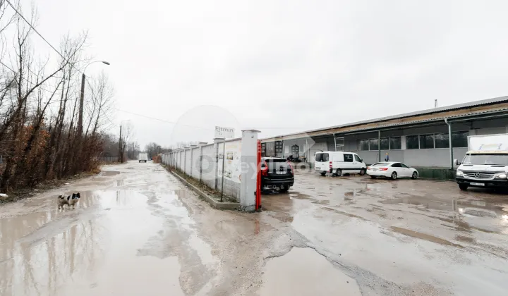 Склад, Ботаника, МУНЧЕШТЬ