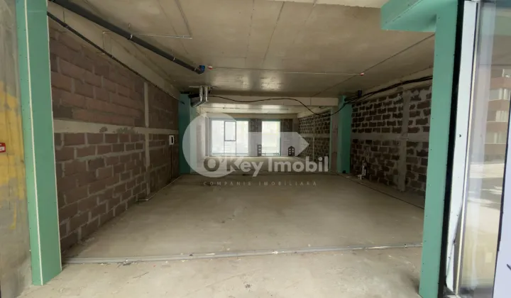 Комм. помещение, Чеканы, ИОН ДУМЕНЮК