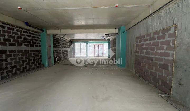 Комм. помещение, Чеканы, ИОН ДУМЕНЮК