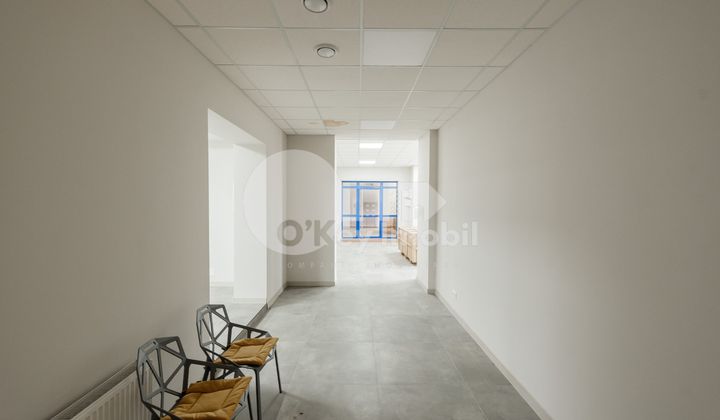 Oficiu, Centru, ȘTEFAN CEL MARE