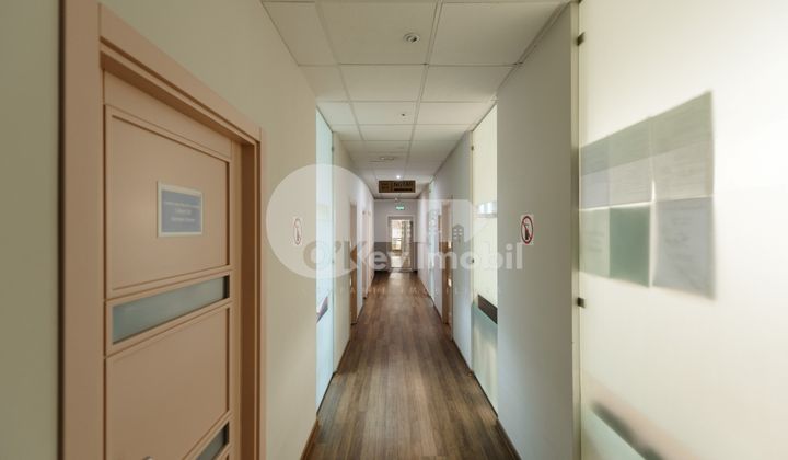 Oficiu, Centru, ISMAIL