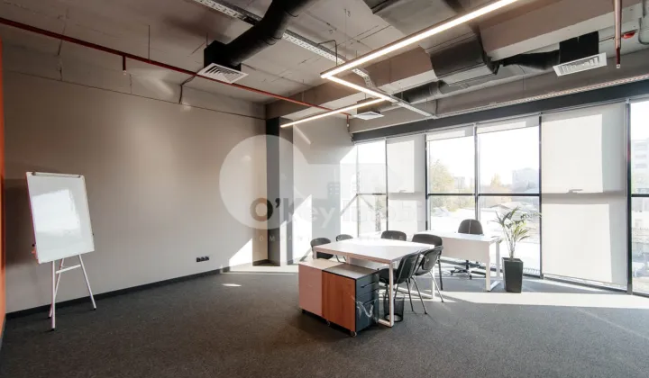 Офис, Центр, МИХАЙ ВИТЯЗУЛ