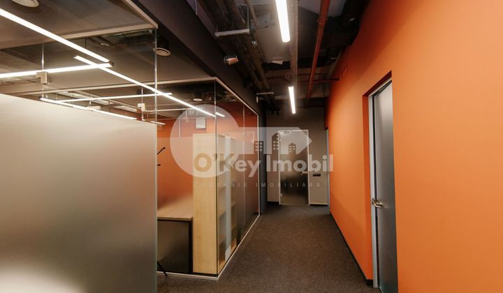 Oficiu, Centru, MIHAI VITEAZUL