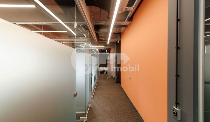 Oficiu, Centru, MIHAI VITEAZUL