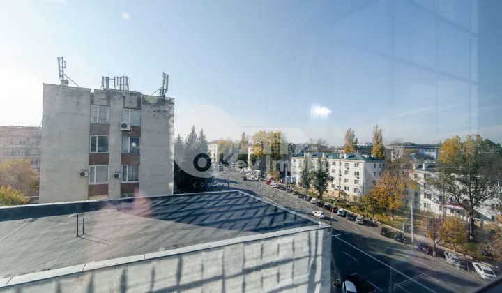 Офис, Центр, МИХАЙ ВИТЯЗУЛ