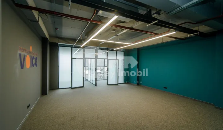 Офис, Центр, МИХАЙ ВИТЯЗУЛ