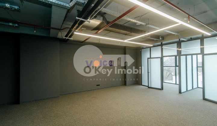 Oficiu, Centru, MIHAI VITEAZUL