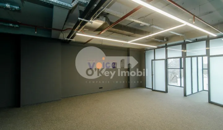 Офис, Центр, МИХАЙ ВИТЯЗУЛ