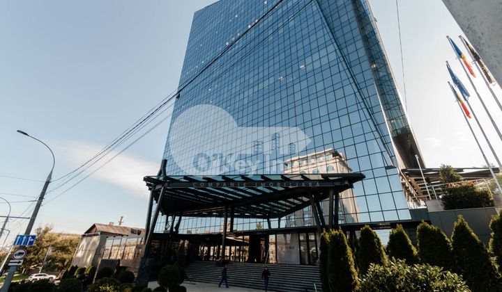 Oficiu, Centru, MIHAI VITEAZUL