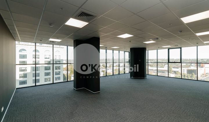 Oficiu, Centru, MIHAI VITEAZUL