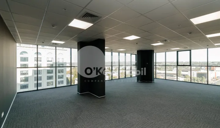 Офис, Центр, МИХАЙ ВИТЯЗУЛ