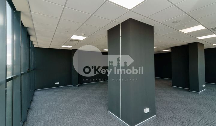 Oficiu, Centru, MIHAI VITEAZUL