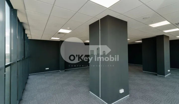 Офис, Центр, МИХАЙ ВИТЯЗУЛ