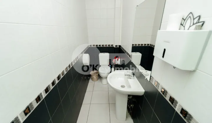 Офис, Центр, Центр, ВАСИЛЕ АЛЕКСАНДРИ