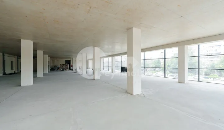 Комм. помещение, Ботаника, ДАЧИЯ