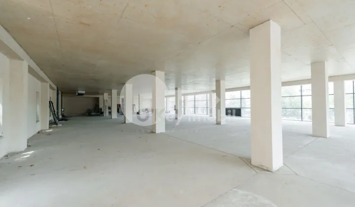 Комм. помещение, Ботаника, ДАЧИЯ